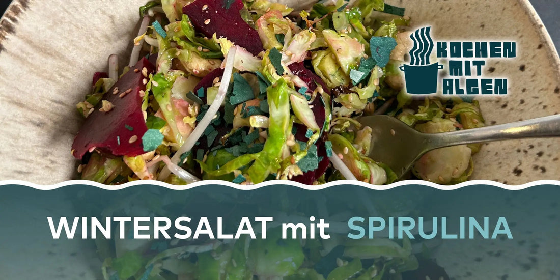 Wintersalat mit Rosenkohl, Rote Bete und Spirulina