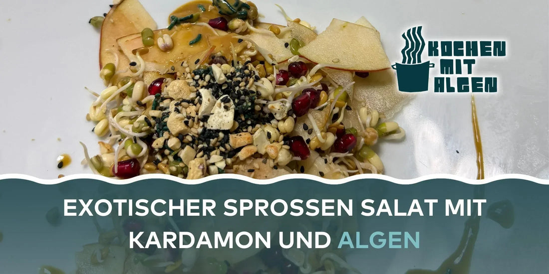 Exotischer Sprossen-Salat mit Mungbohnen- und Bockhornkleesprossen, Apfel, Granatapfel und Algen-Kardamom-Dressing, getoppt mit Cashewkernen und Sesam von Kochen mit Algen