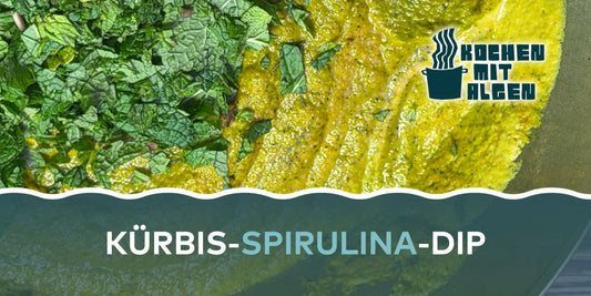 Cremiger veganer Kürbis-Dip mit Algen in einer Schale, serviert mit frischen Kräutern und Gemüse-Sticks – nährstoffreich, leuchtend orange und grün, perfekt als herbstlicher Aufstrich oder Dip von Kochen mit Algen