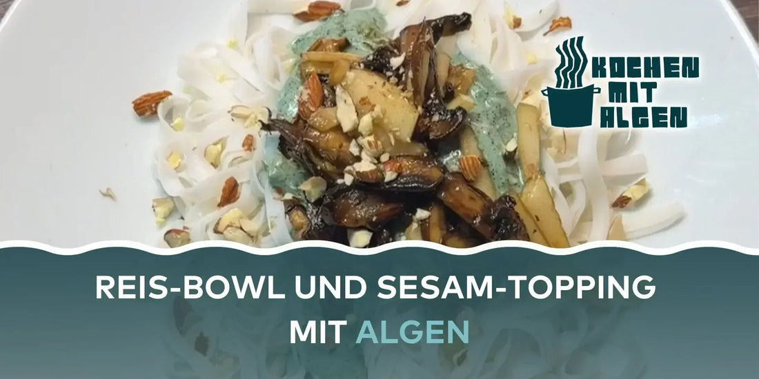 Vegane Reis-Bowl mit Sesam-Topping und Algen, Reisnudeln mit gebratenen Champignons, Mandeln und cremiger Algen-Soße – von Kochen mit Algen