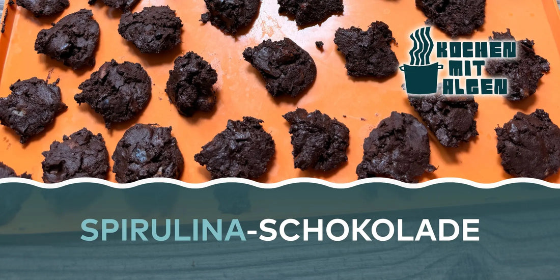 Herzöffnende Spirulina-Schokolade