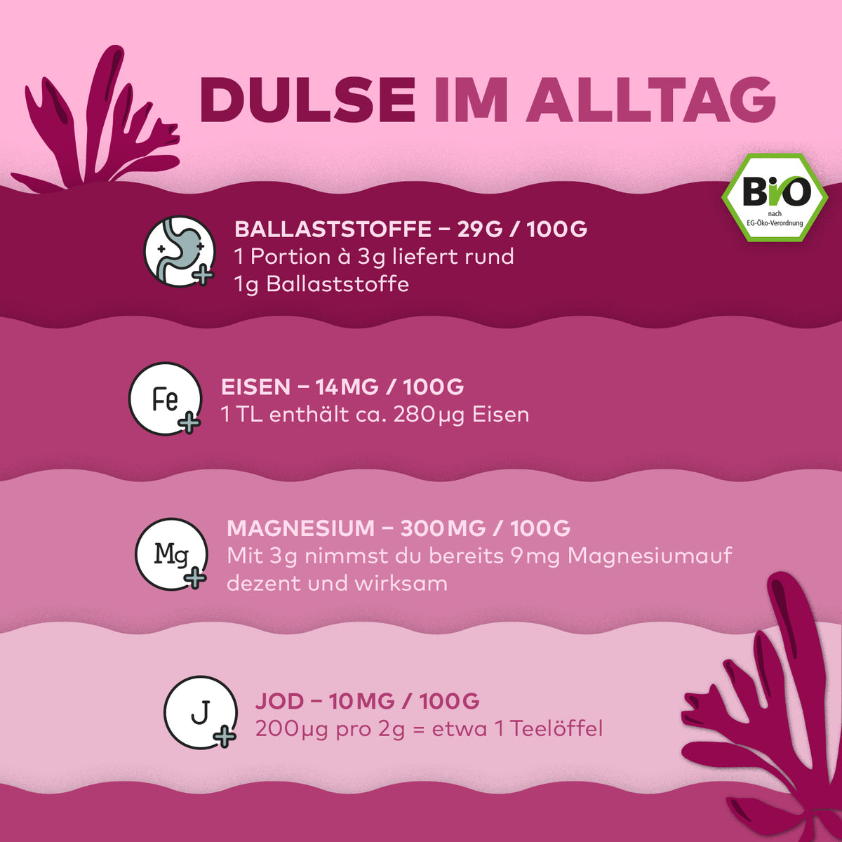 Infografik Dulse im Alltag von Algenmarkt mit Nährwerten für Ballaststoffe, Eisen, Magnesium und Jod