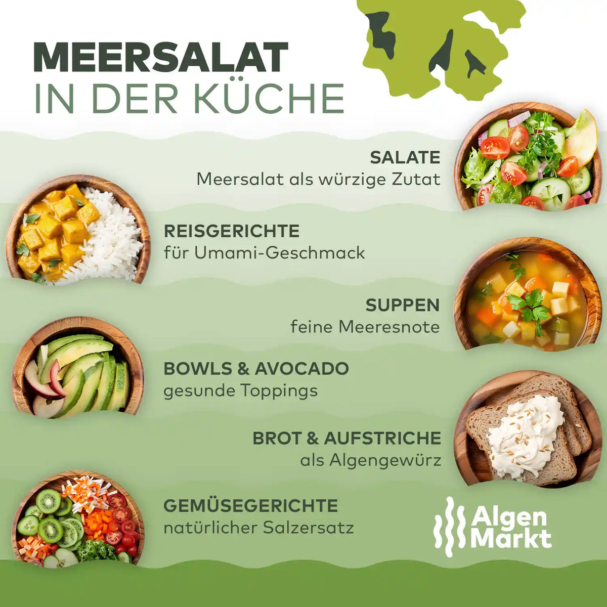 Infografik Meersalat in der Küche von Algenmarkt: Anwendung in Salaten, Suppen und Bowls