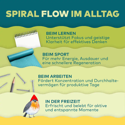 Infografik Spiral Flow im Alltag: Einsatz beim Lernen, Sport, Arbeiten und in der Freizeit