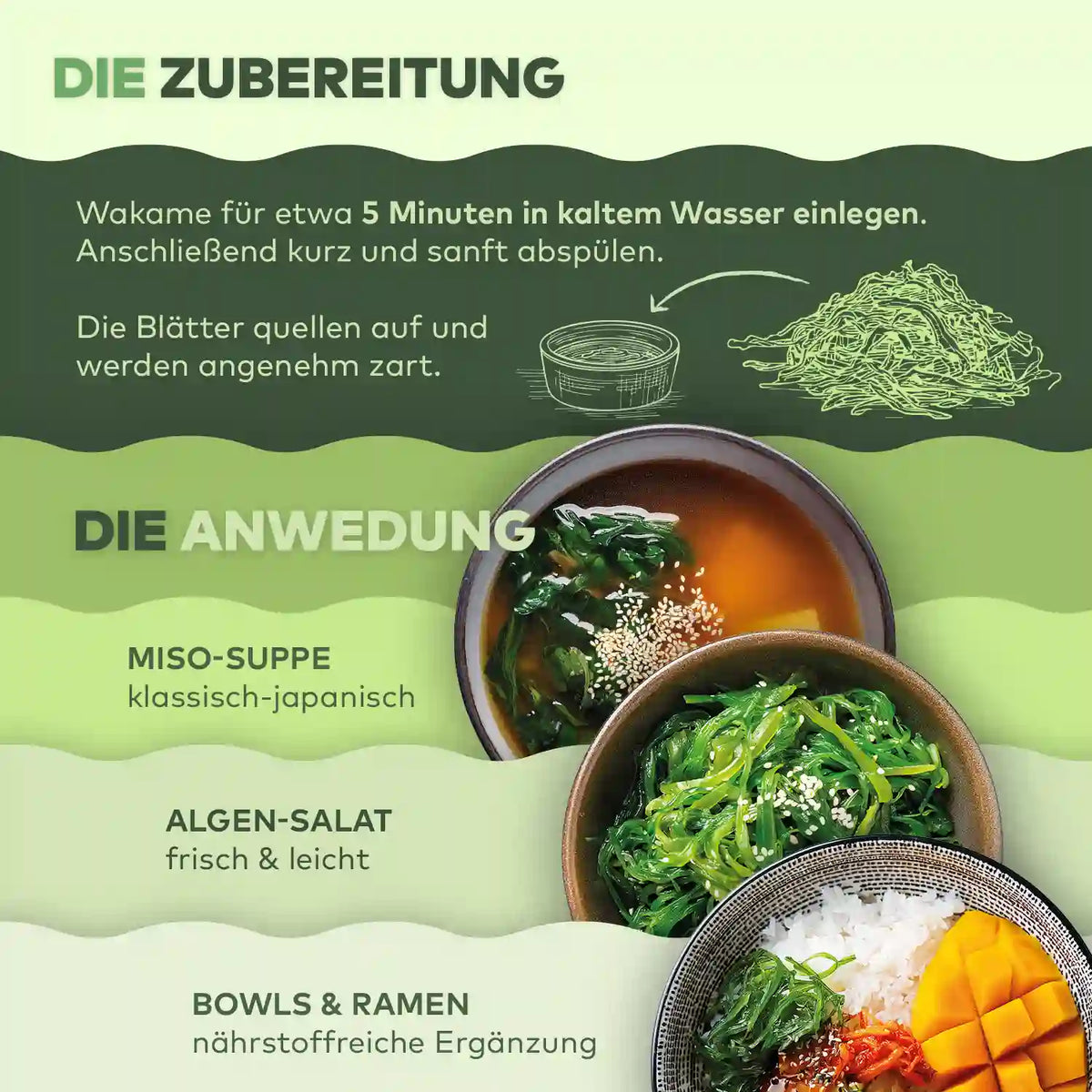 Infografik Wakame-Zubereitung und Anwendung in Miso-Suppe, Salat und Bowls