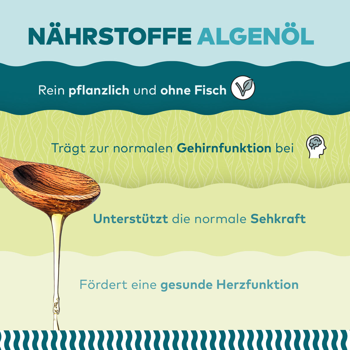 Infografik Nährstoffe Algenöl von Algenmarkt: rein pflanzlich und ohne Fisch