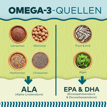 Infografik Omega-3-Quellen: ALA aus Samen und EPA & DHA aus Fisch, Krill und Algen