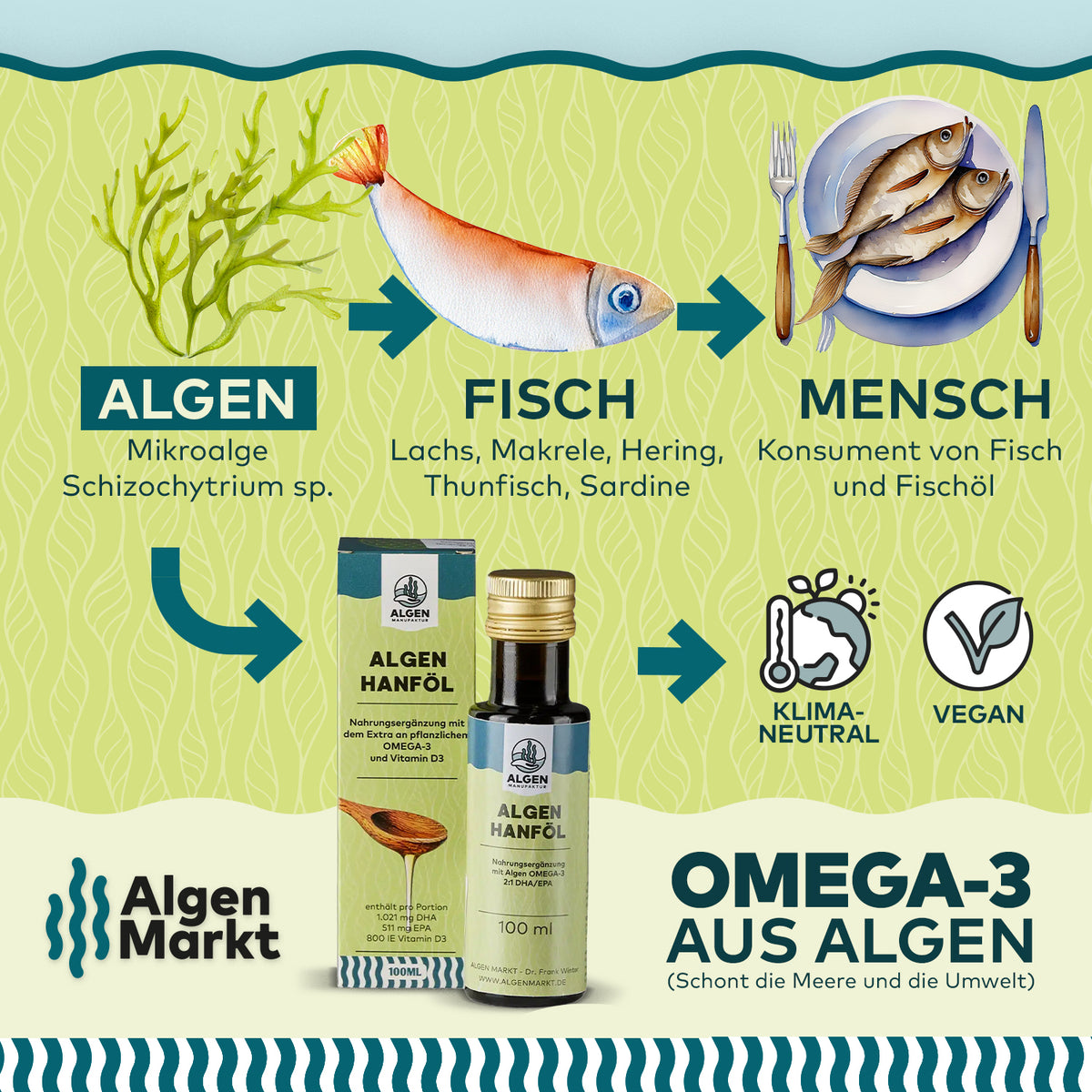 Infografik Omega-3 aus Algen: Algen-Hanföl von Algenmarkt statt Fischöl, klimaneutral und vegan