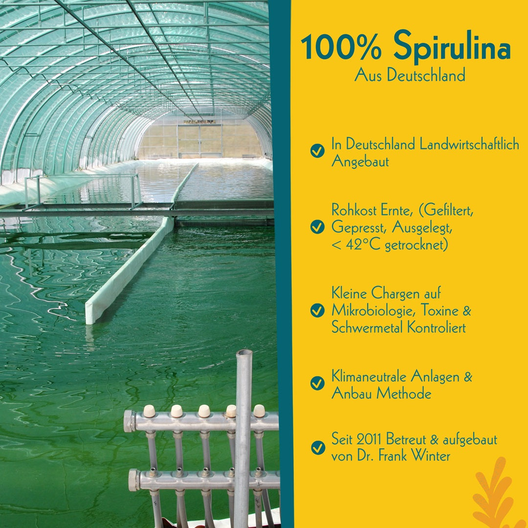 Infografik Spirulina aus Deutschland: Anbauhalle, Rohkost-Ernte und klimaneutrale Anlagen von Algenmarkt