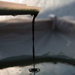 Frisch gefilterte Spirulina-Biomasse tropft bei der Ernte auf der Farm von Algenmarkt