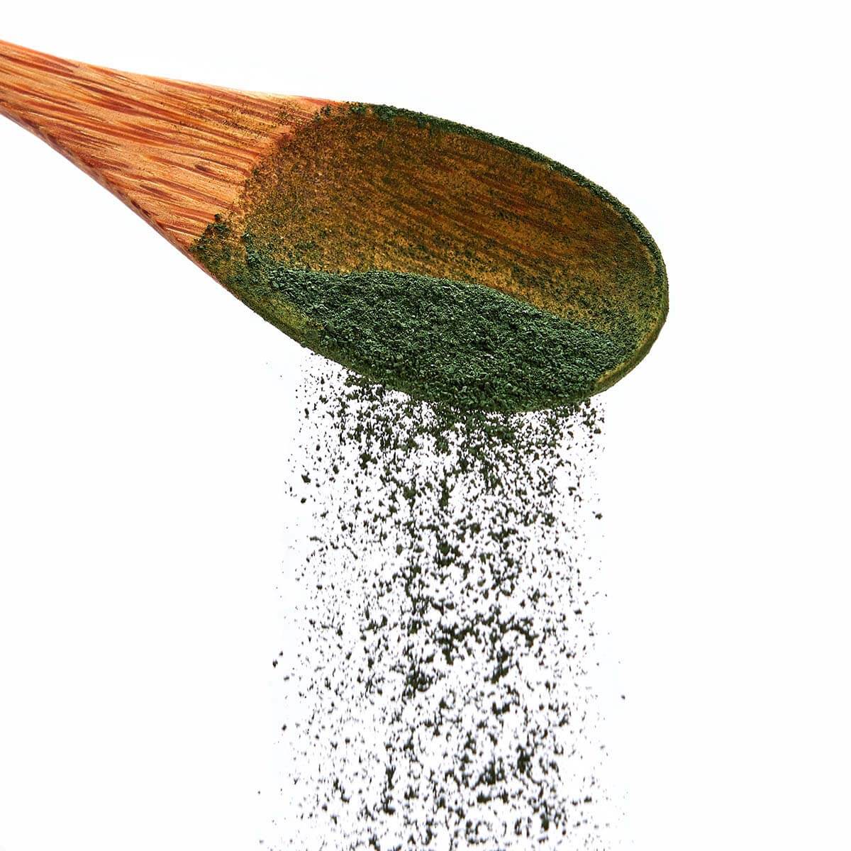 Bio Spirulina Pulver von Algenmarkt rieselt von einem Holzlöffel vor weißem Hintergrund