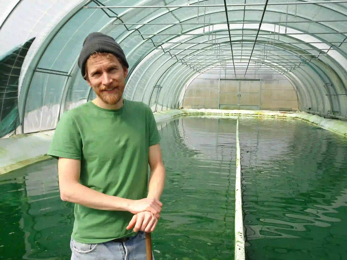 Mitarbeiter am Spirulina-Algenbecken im Gewächshaus der Algenmarkt-Farm