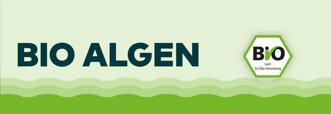 Kategoriebanner Bio-Algen von Algenmarkt