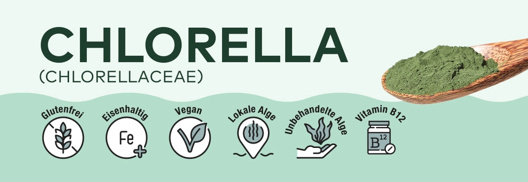 Kategoriebanner Chlorella von Algenmarkt